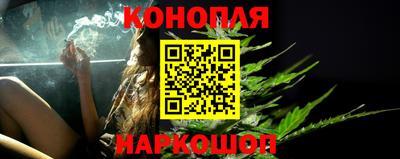 гашик Будённовск