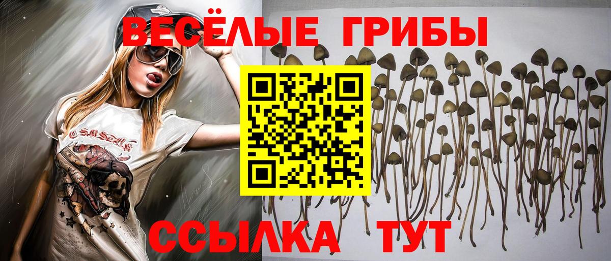 Галлюциногенные грибы прущие грибы Мытищи