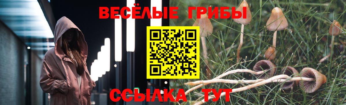 Мытищи  как найти   Галлюциногенные грибы MAGIC MUSHROOMS  Вход с VPN  Галлюциногенные грибы мицелий 